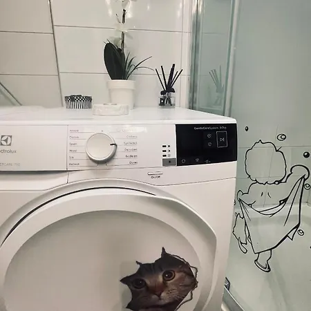 Joli